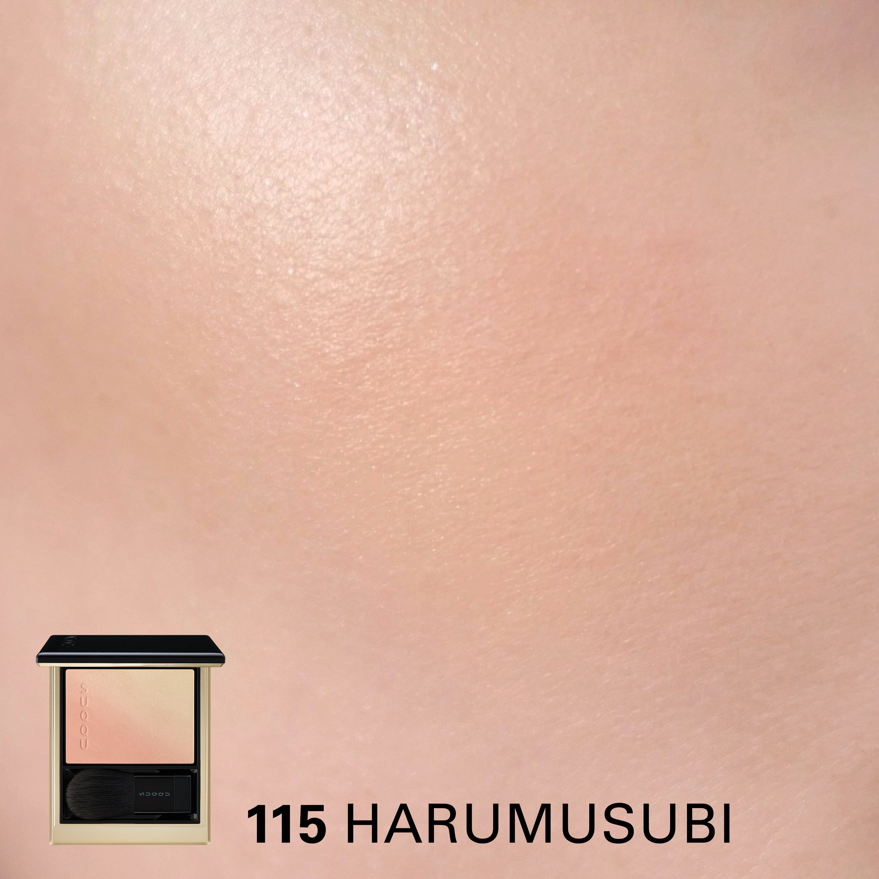 BLURRING COLOR BLUSH (PRE-SUMMER 2026) – SUQQU UK